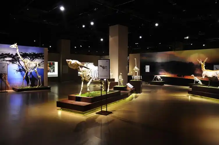 【大连金石滩生命奥秘博物馆】竣工照片