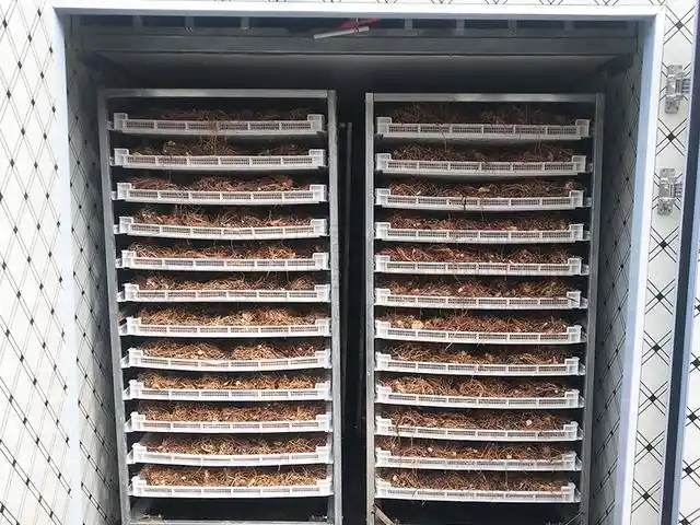 烘干后的白芨,药用价值很高,所以市场需求很大.