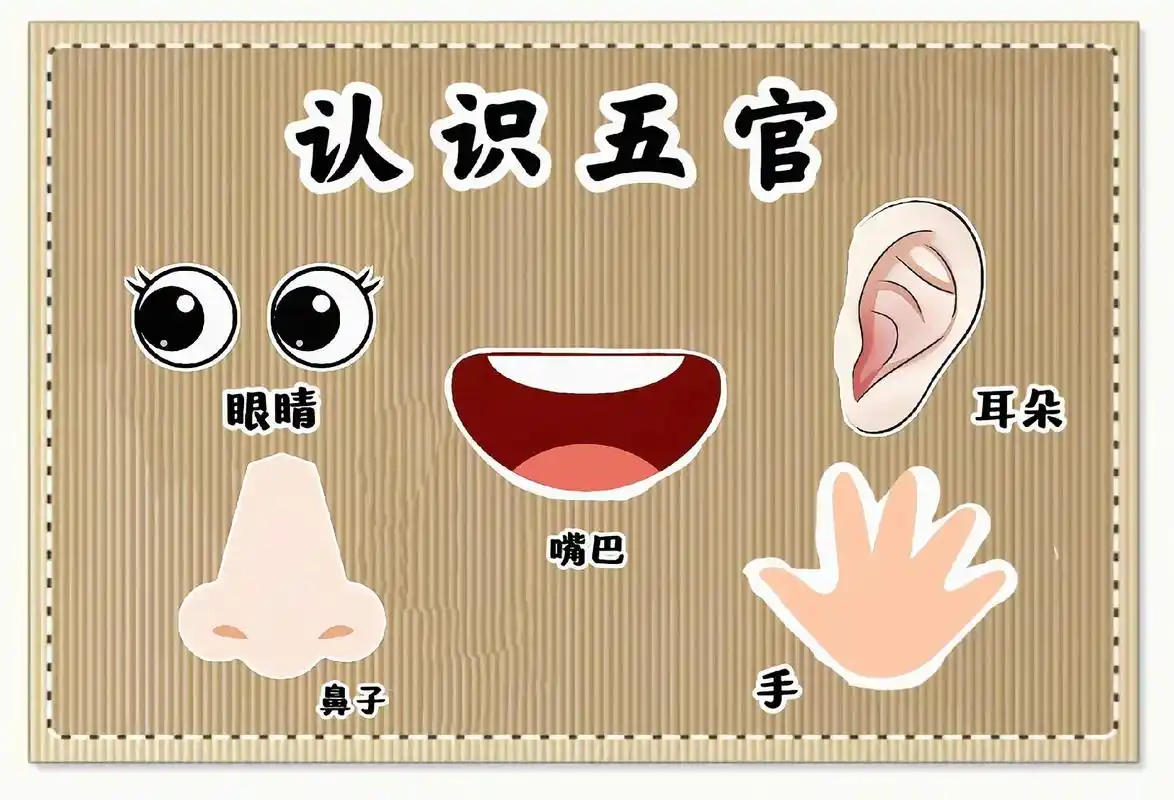 幼儿园认识五官环创.爱护我们的五官,帮助幼儿对五官的认识,了 - 抖音