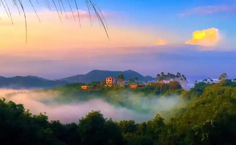 世界环境日,共赏泉州生态美景_摄影