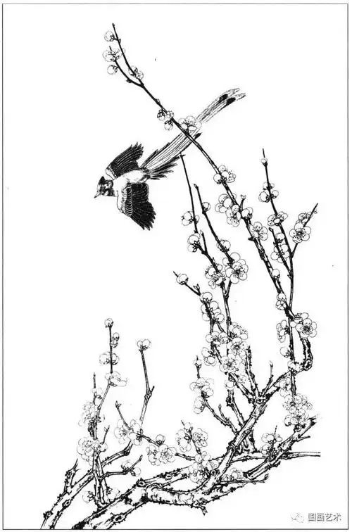 花鸟鱼虫白描画谱分享(3)