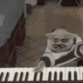 变脸猫弹钢琴 gif 动图_动图_gif_弹钢琴_变脸表情