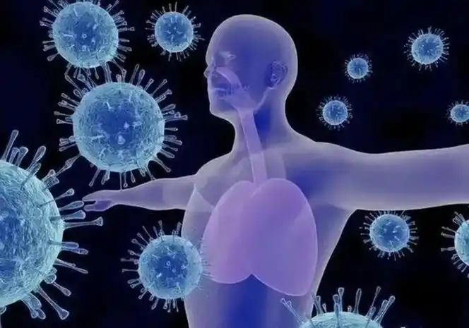 在过去的1年里全国新型冠状病毒感染本土病例变异株变化趋势占比前三