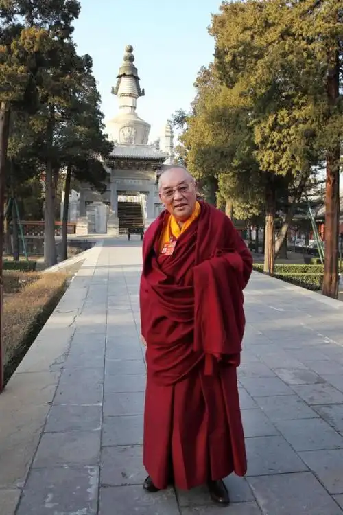 拉萨| 全国政协委员那仓活佛的人生故事 - baogaosu.com