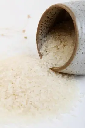 g20用米 善德良米 纯正有机米 东北大米 不用除草剂 2斤 5斤装 2斤