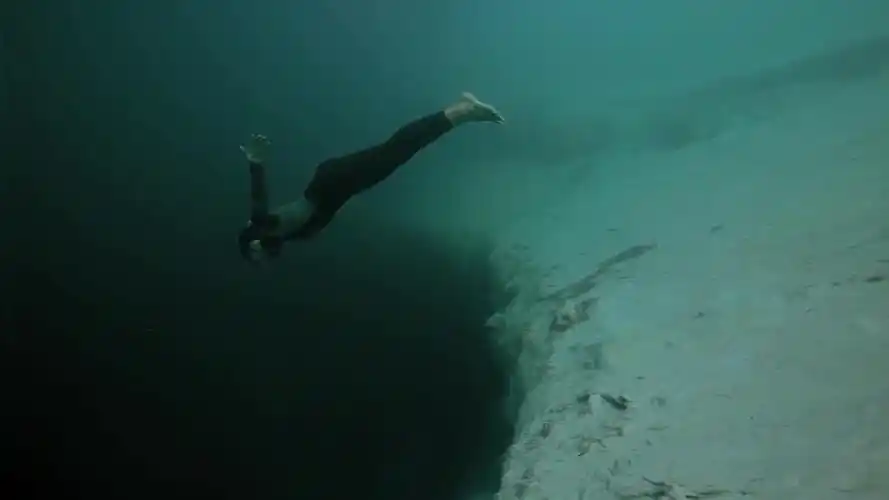 深海恐惧:大多数人只看过图片没看过视频,来感受下吧!这种窒息感!