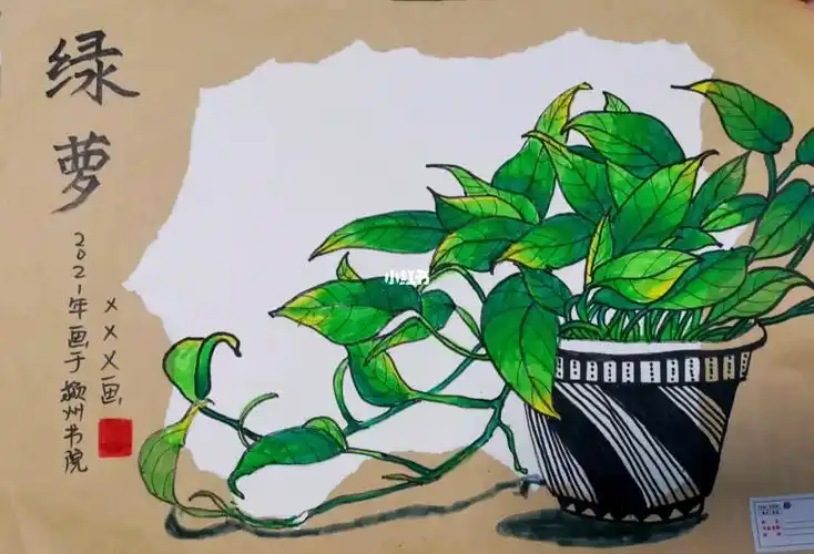 写生绿萝步骤图二三年级写生课