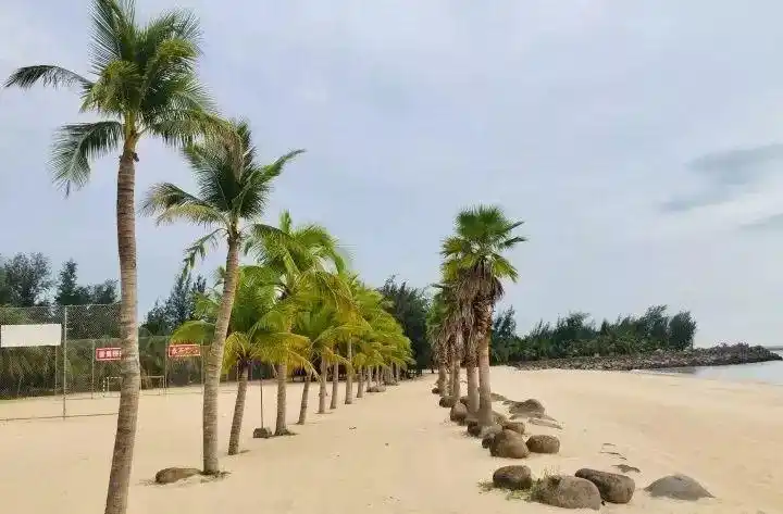 假如我在天成台遇见你其实我最想和你在西海岸看最