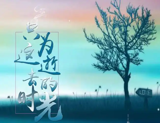 《逝去的光阴》曾鸿 江口中学 八年级