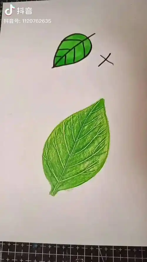 叶子这样画简单好学简笔画一起学画画