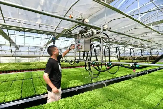 智能大棚数字育苗