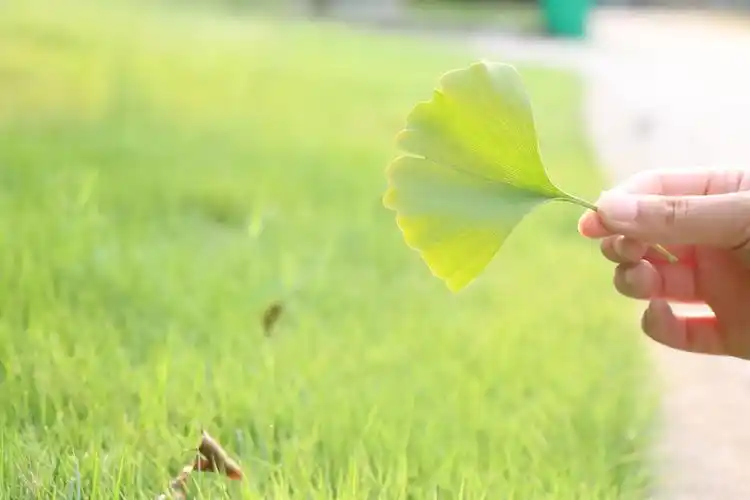 第一次作业景深运用