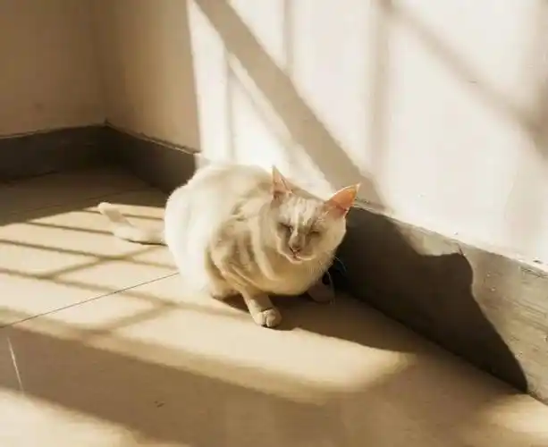 地大的"绰号"你知道吗_未来城_专业_地质