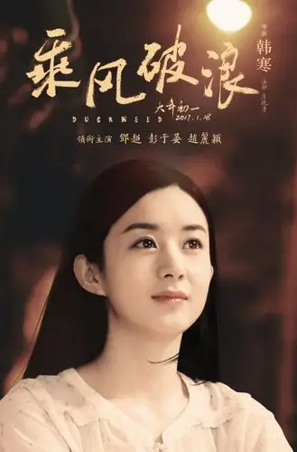 赵丽颖乘风破浪##赵丽颖乘风破浪定档大.