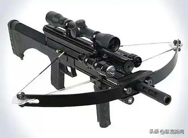 南召法院网购弩箭非法狩猎获刑