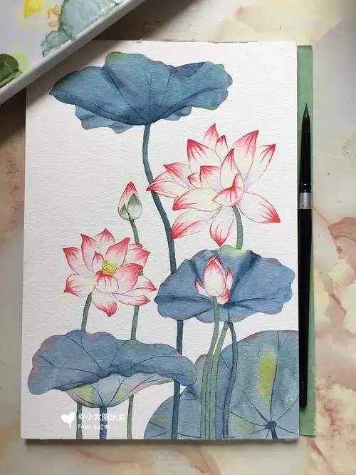 水彩荷花附线稿和过程图加颜色