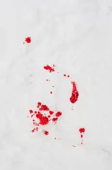 血迹图片_血迹图片大全_血迹图片下载