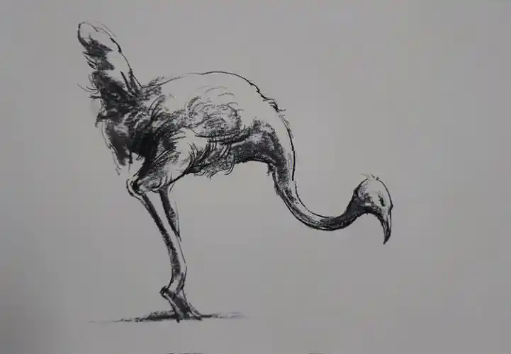 寻找小红书绘画大神  #万物皆可聊艺术  #速写  #动物森友会