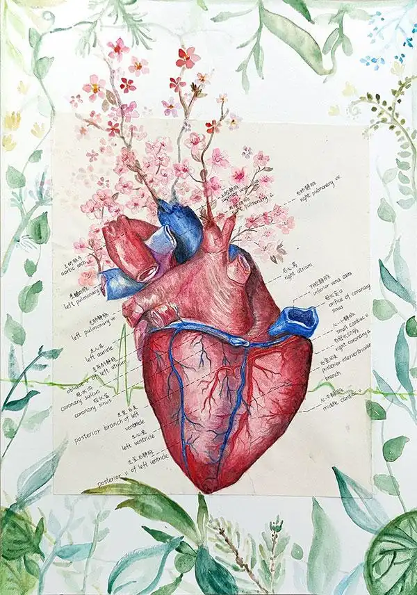 高校举办医科生解剖绘图大赛原来医笔生花可以这么美