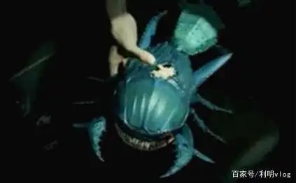 盗墓笔记——让陈文锦一行变禁婆的尸蟞丹真的是长生药吗?