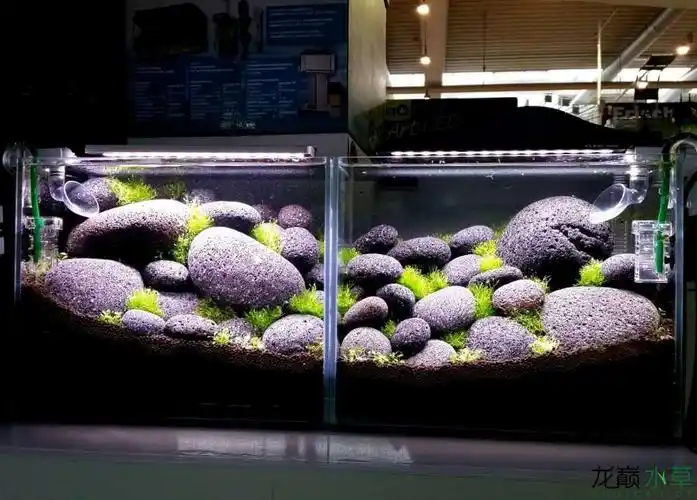 罕见的鹅卵石造景