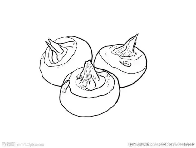 马蹄图片马蹄莲简笔画简单画法06,接着画出小木马一侧的腿,并勾画出