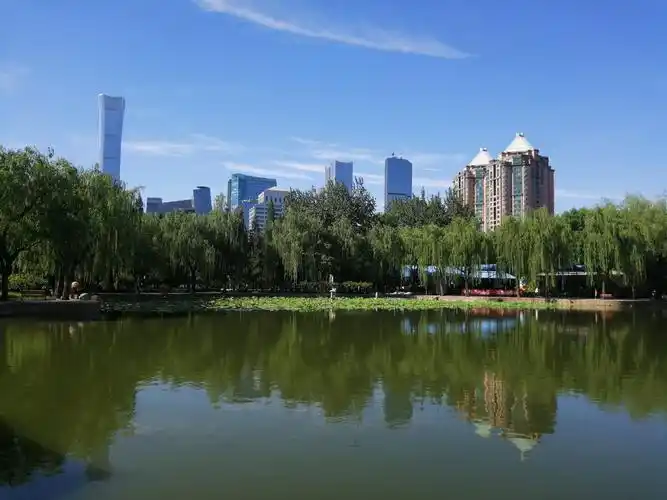 初夏的北京团结湖公园