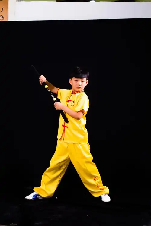 陈建行武术训练情况汇报