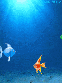 240_320竖版 竖屏gif 动态图 动图