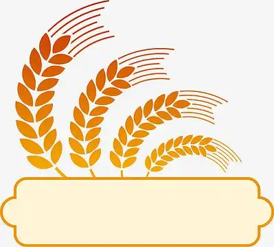 金色麦穗标志徽章装饰边框