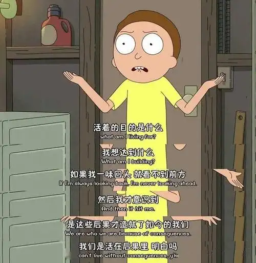 虽形式上是动画片,但《rick and morty》的实际内容中却融合致敬了