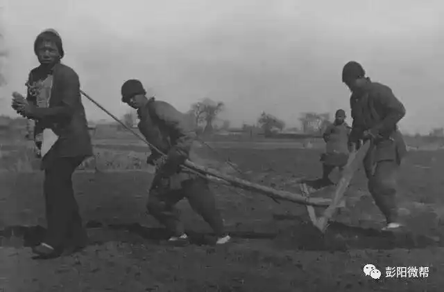 老照片见证中国农民篇