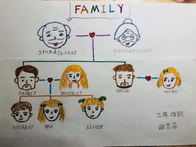思维导图-3 family