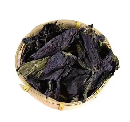 图为紫苏叶晒干