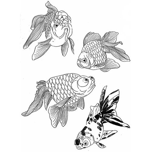 工笔画线描稿金鱼篇jpg格式电子版国画鱼类线稿上色练习打印格式