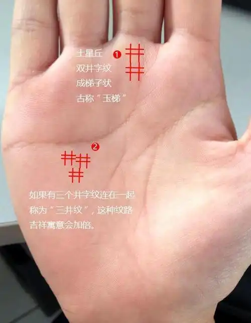 可发大财的九大手掌财富纹