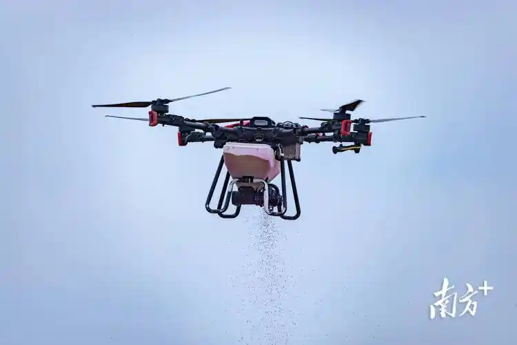 当日上午,伴随着轰鸣声响起,一台水稻农用无人机缓缓起飞,在峡石村