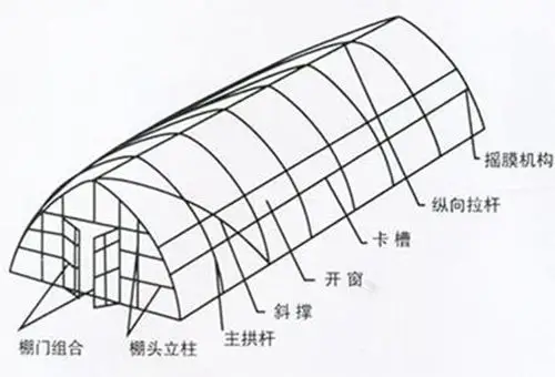 关于将猕猴桃棚架及蔬菜类简易大棚纳入政策性补助范围的建议