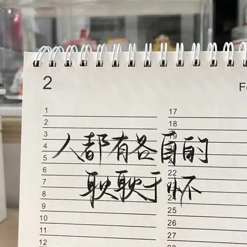 人都有各自的耿耿于怀