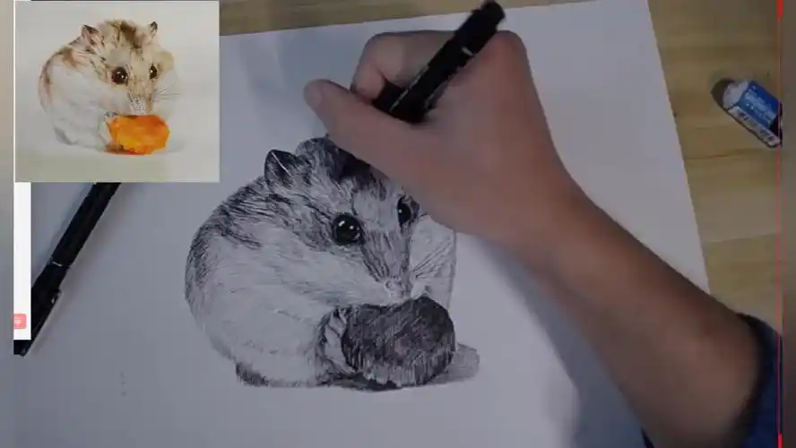 【素描】用针管笔画一个阔爱滴小仓鼠,肥肠肥肠简单,跟着来吧!