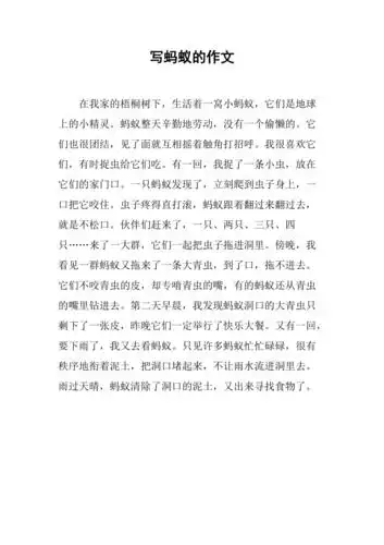 写蚂蚁的作文