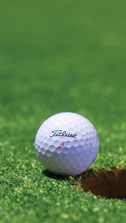 高尔夫白球草地洞