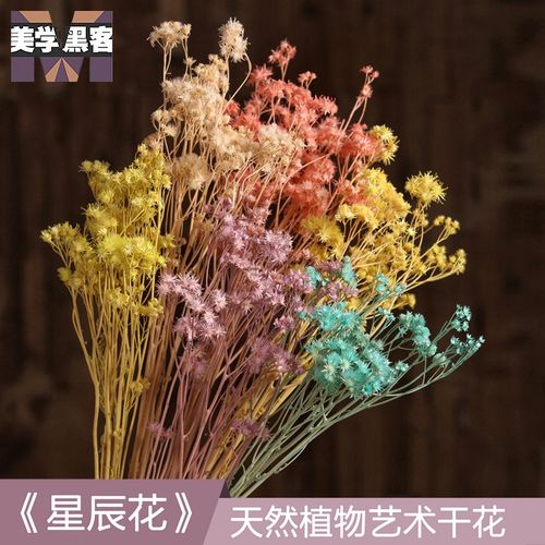 星辰花小干花复古小花束真花干花花束迷你室内田园文艺卧室内