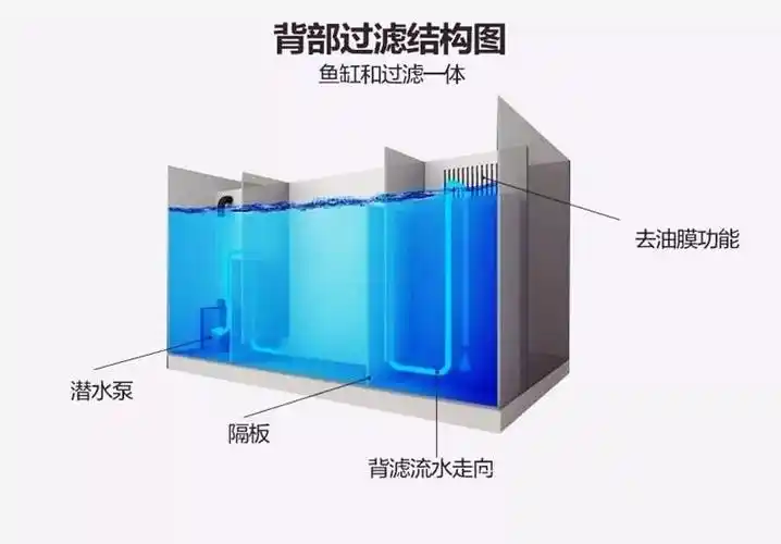 新人必看:详解鱼缸七种过滤方式,帮你摆脱选择困难症