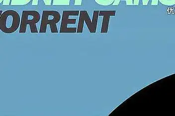 贝拉alleys torrent_百度视频搜索