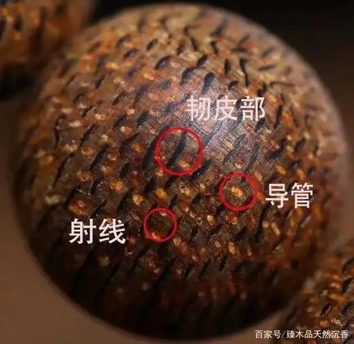 通俗的讲就是利用沉香油脂性来辨别沉香真假,利用刀片等工具在沉香