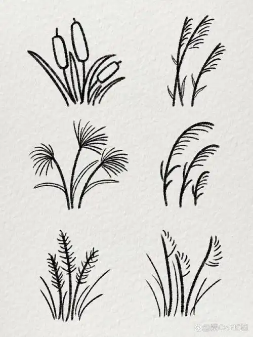 超简单的芦苇简笔画|芦苇不语90
