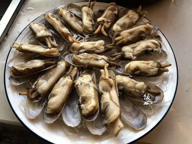 贝壳类海鲜(春天最肥的贝壳类海鲜,才10块钱一斤,比虾肉有营养,补充