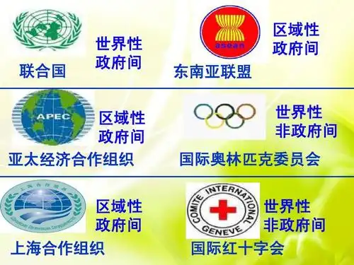 世界性 非政府间 国际红十字会 区域性 政府间 亚太经济合作组织 区域