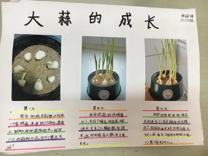 三六班之"蒜"察记